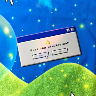 Computer dialog box asking 'Exit the Simulation?' with a space-themed background